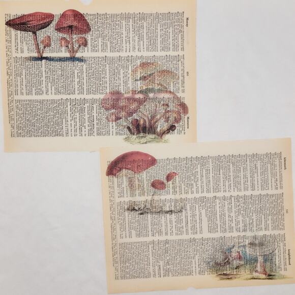 Mushroom Dictionary Prints 4, Colorful Mushroom Prints, Book Page Prints - Picture 4 of 6
